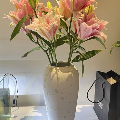 落地大花瓶插花仿真花景德镇北欧陶瓷花瓶水培富贵竹百合客厅干鲜
