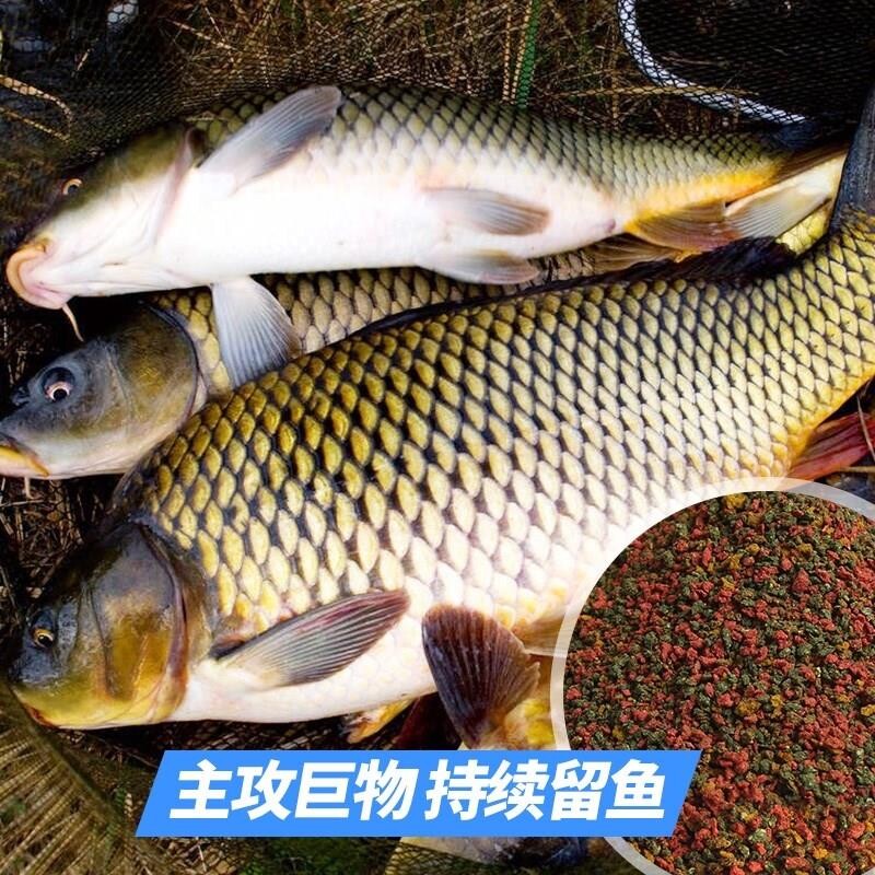 钓鱼王鱼饵鲫鲤鱼食饵料野钓专用黑坑螺鲤专攻套餐野钓疯杀钓鱼饵