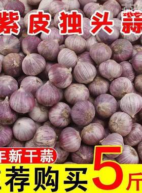 云南独头蒜大果独蒜头干蒜头新大蒜独蒜头出口级精品级特大果包邮