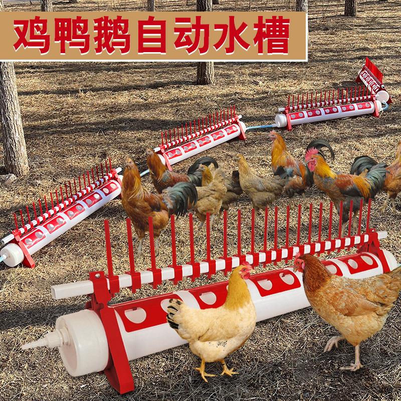 养殖家禽专用饮水器鸡用饮水槽喝水器散养鸡自动喂水槽鸡自动水槽