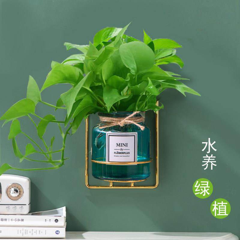 网红家居装饰艺术架壁挂式水培玻璃花瓶水养绿植静化空气挂墙花插,鲜花速递/花卉仿真/绿植园艺,花瓶,淘宝优惠券,粉丝福利购,淘宝优惠卷