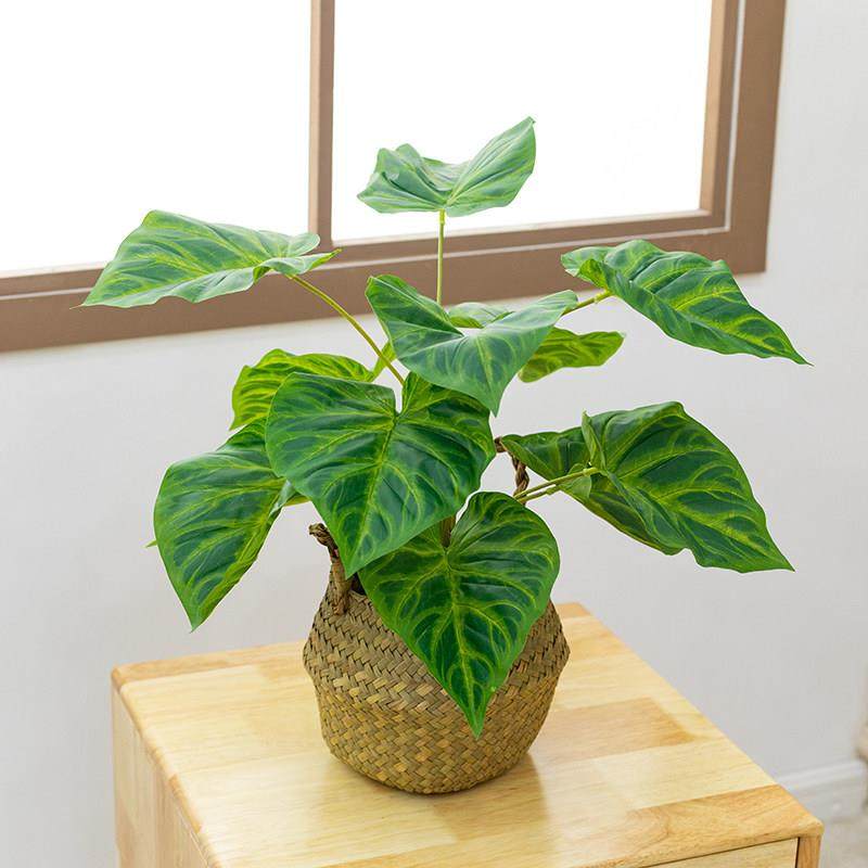 仿真绿植北欧假花龟背办公桌仿真植物小盆栽盆景客厅装饰家居摆件,家居饰品,仿真植物盆景,淘宝优惠券,粉丝福利购,淘宝优惠卷