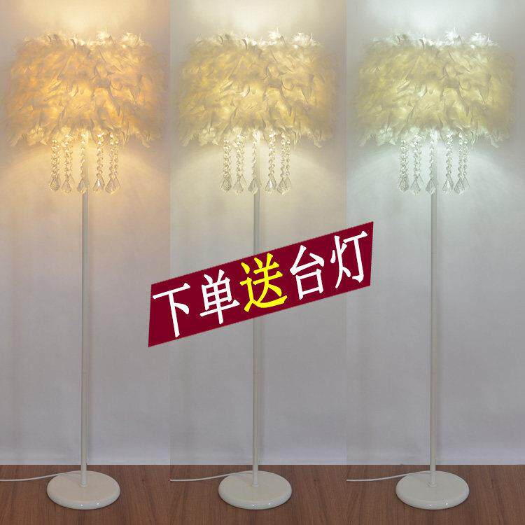 网红水晶羽毛立式落地灯婚庆客厅书房卧室床头台灯主播补光美容灯