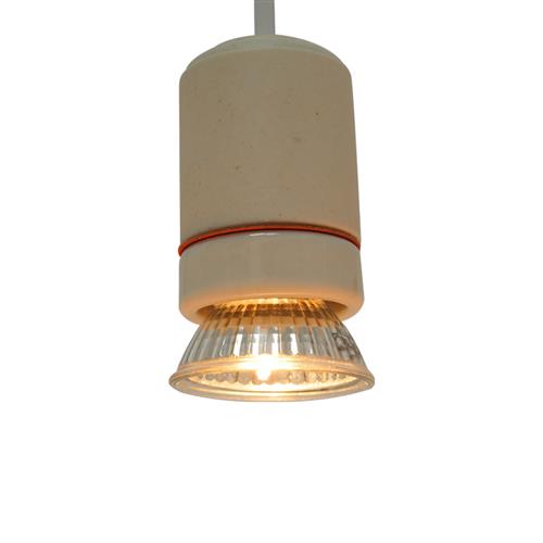 芦丁鸡保温灯自动温控器恒温灯取暖灯养殖箱育雏灯小鸡加温加热灯