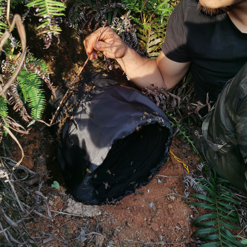 视频同款可横放收蜂笼 招蜂袋 可挂 黑色不透光无线头