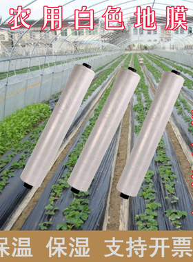 白色塑料薄膜小拱棚膜保温蔬菜大棚膜地膜加厚抗老化公路防护膜
