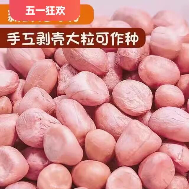 现剥新花生米生新货特级粉皮新鲜大粒2024年新花生米白沙花生仁