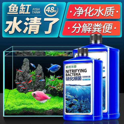 硝化细菌鱼缸用水质净化分解鱼粪开缸养水改善水质稳定剂硝化菌