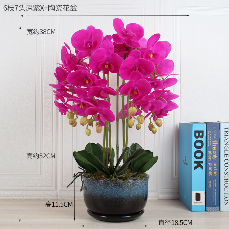 极速假花盆栽摆件PU蝴蝶兰真花带陶瓷花盆公司酒店前台茶几摆件客