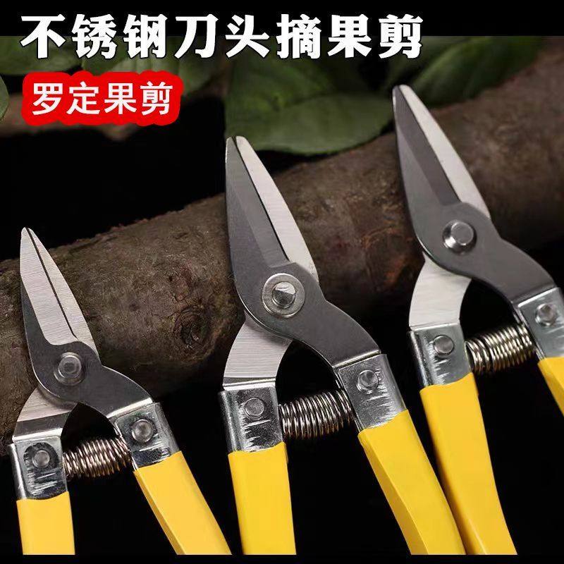 罗定果剪修枝剪家用摘果剪刀脐橙橘子果树剪加厚树剪子嫁接小剪刀,居家日用,园艺刀剪,淘宝优惠券,粉丝福利购,淘宝优惠卷
