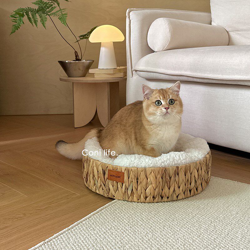 Coni life藤编猫窝猫抓板一体四季通用编织窝瓦楞纸大号猫咪睡床,宠物/宠物食品及用品,猫窝/屋/帐篷/沙发,淘宝优惠券,粉丝福利购,淘宝优惠卷