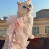宠物猫咪小型犬梦幻紫仙女大蝴蝶背心胸背带防挣脱外出牵引绳衣服