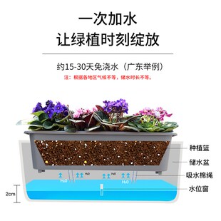 阳台种菜盆种植专用箱花槽超窄窗沿边长方形花盆多层种草莓懒人盆