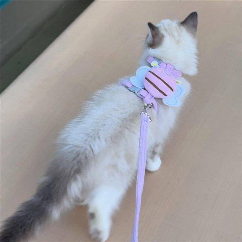 猫咪出门牵引绳外出防挣脱专用蓝猫金渐层胸背带绳子可调节溜猫绳,宠物/宠物食品及用品,猫牵引绳,淘宝优惠券,粉丝福利购,淘宝优惠卷