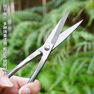 小巧匠不锈钢叶芽剪盆景修剪专业工具修枝剪刀造型枝叶剪园艺剪刀
