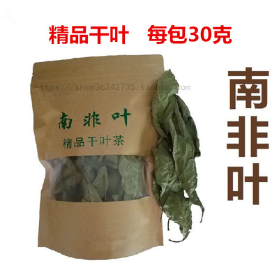 正宗南非叶苗种树苗将军叶新鲜干叶茶室内外庭院阳台绿植花卉盆栽