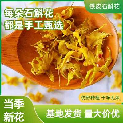 石斛花云南鼓槌石斛花干花当季新花现货直发2024年铁皮石斛花