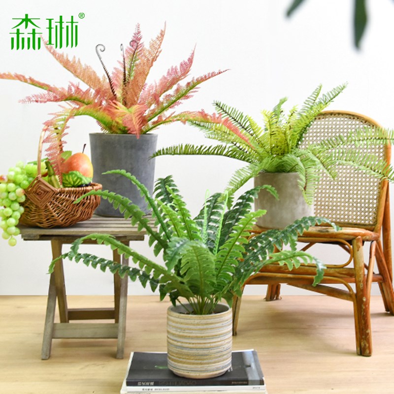 仿真绿色蕨类植物肾蕨波斯叶热带雨林软胶植物墙面装饰景观造景草