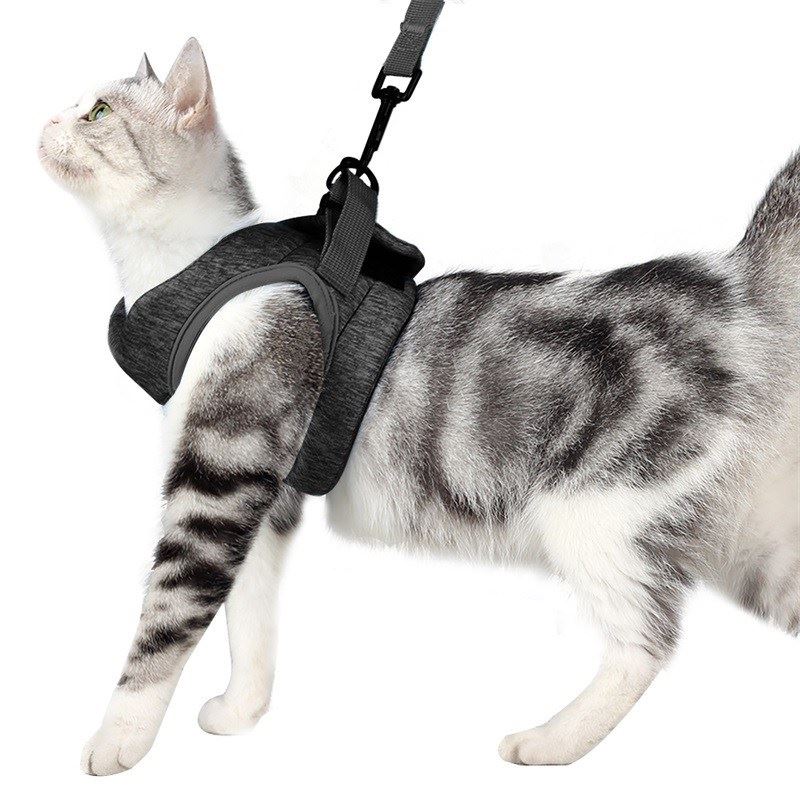 ionic  Harness and Leash Set for Walking 360° wrap