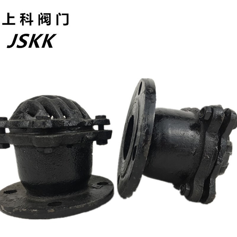 。H42X铸铁法兰底阀 井底阀 吸水阀 单向阀 水泵底阀 海底阀