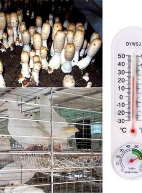 Wall Termometer Digital Indoor Outdoor Hang Garden