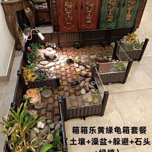 黄缘闭壳龟箱套餐  含箱子,土壤 澡盆 躲避 绿植,喂食盆
