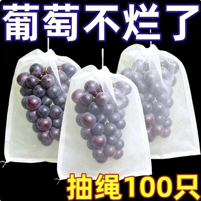 防鸟防虫水果保护网袋