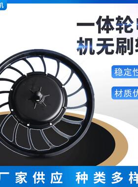 厂家供应1000W20寸一体轮电机永磁无刷轮毂电机电动车电机