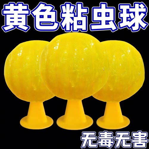 夏季室内粘飞虫球果蝇苍蝇小飞虫诱虫球诱捕家用诱捕器粘虫球批发