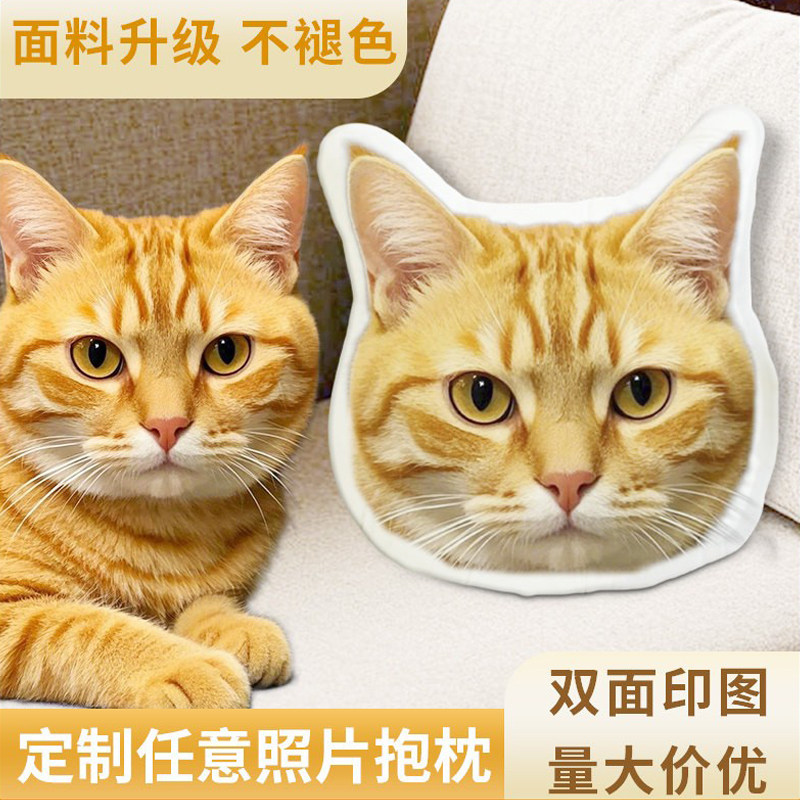 diy抱枕定制异形定做宠物狗狗猫咪动漫照片公仔仿真玩偶毕设靠枕