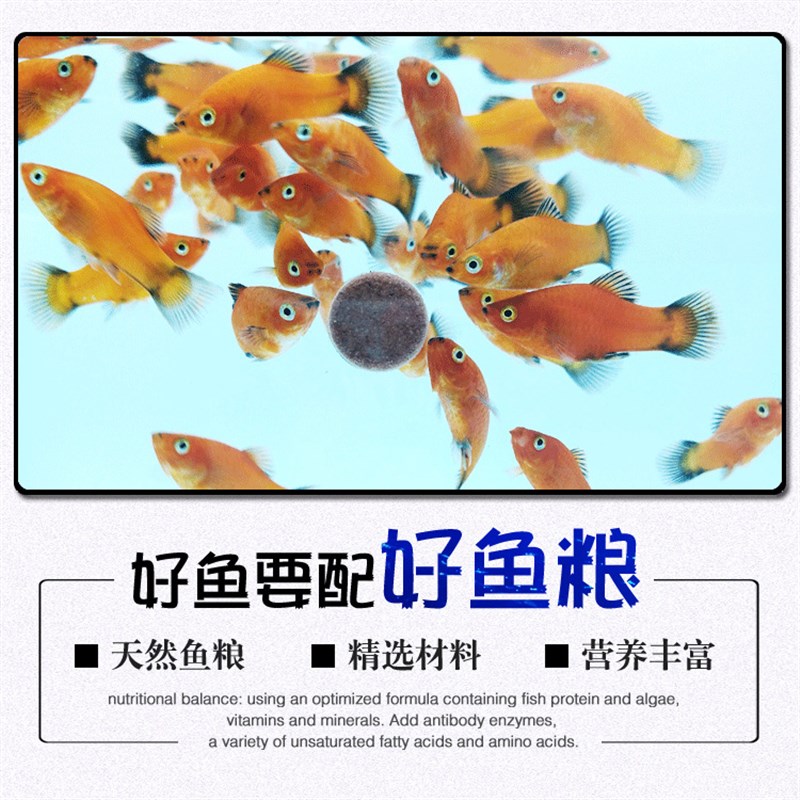 中小型鱼黏贴片鱼食发财鱼七彩神仙虾红素螺旋藻热带鱼粮颗粒饲料