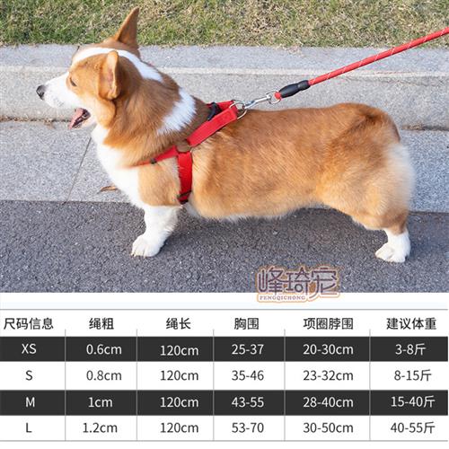 迷你杜宾小鹿犬专用狗狗牵引绳子项圈背心式可调节遛狗绳小型幼犬