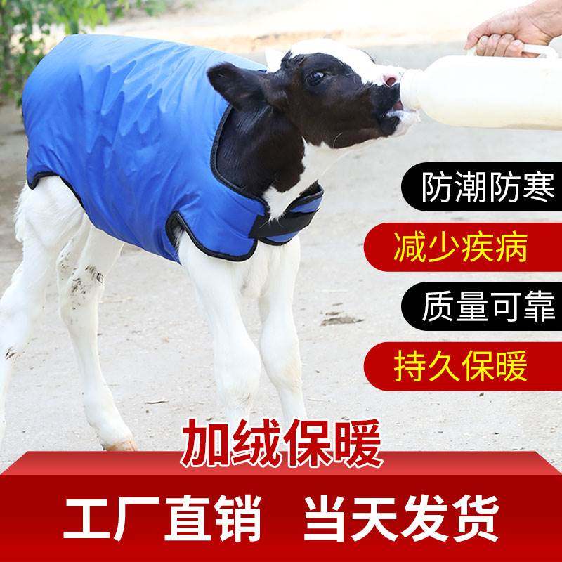 加厚犊牛马甲新生牛犊保温马甲犊牛保温外套小牛衣服小牛马甲防水