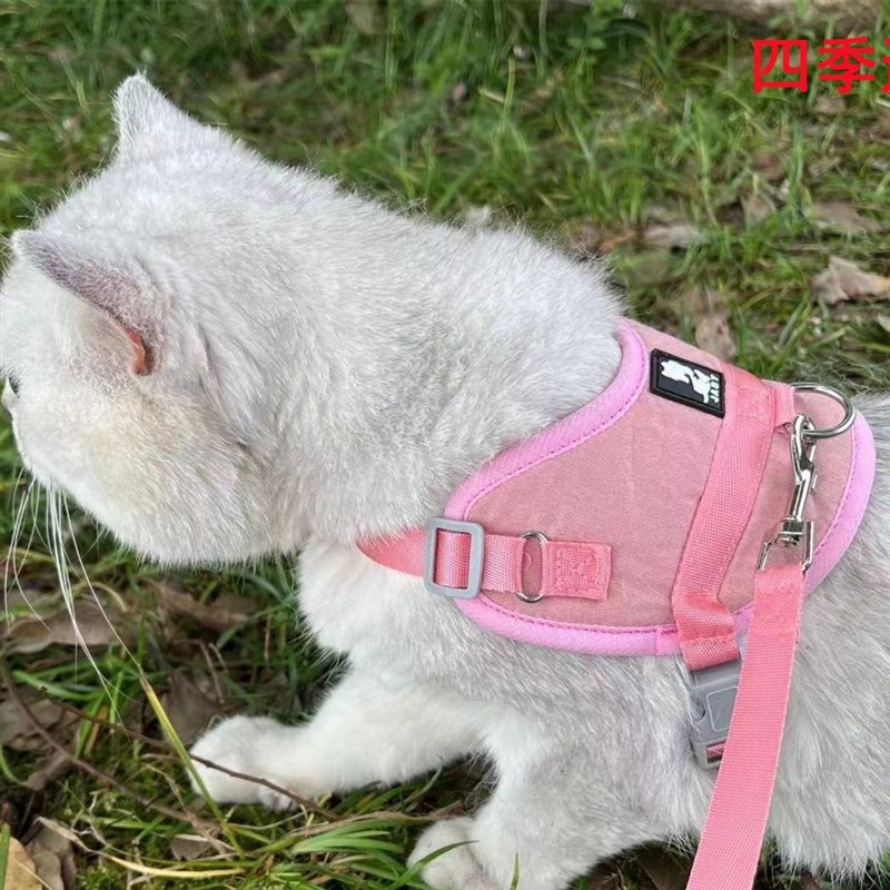 幼猫牵引绳超小号猫咪专用0-3斤防挣脱奶狗泰迪茶杯犬幼犬牵引绳