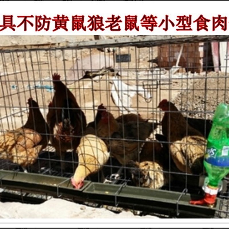 鸡笼子隔断兔笼粗加密鸽子笼养殖家用特大号猫笼自动清粪折叠鸡笼