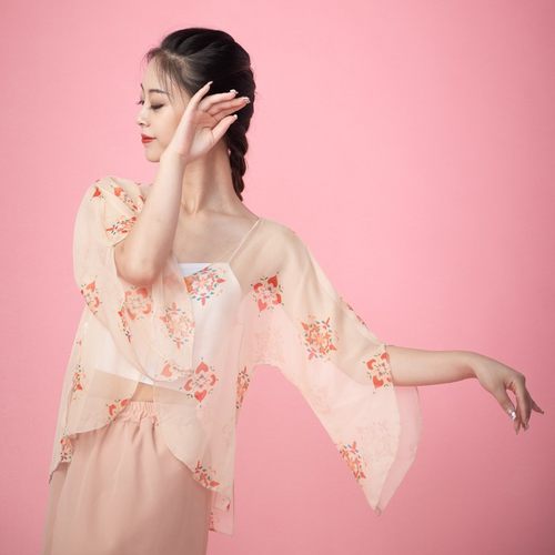 速发古典舞舞开练人成功服飘逸袖印花身韵蹈襟纱衣中国舞演出服