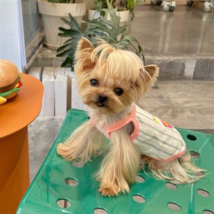 速发小甜花马防晒撞色条纹印粥吊带约克夏服尔济斯小型犬衣服