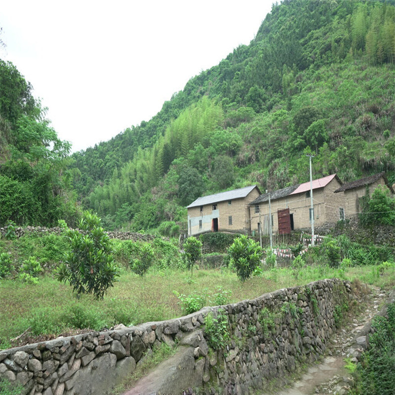 土房砖房乡下小道唱歌跳舞装饰直播背景布乡村外景复古怀旧背景布