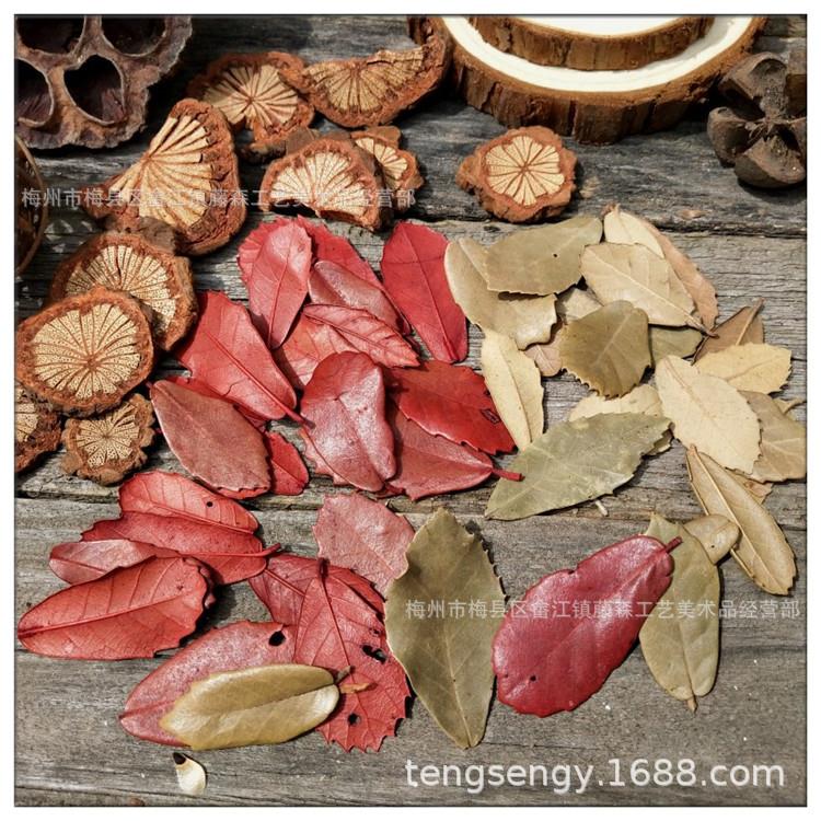 干枝树叶 圣诞藤环森系装饰 红色原色干花复古拍照摄影道具