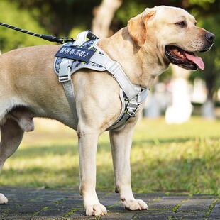 狗狗牵引绳中型大型犬金毛拉布拉多萨摩耶大狗背心式胸背带遛狗绳