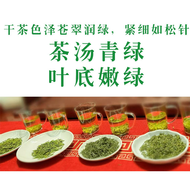 中国大陆特级湖北茶新茶