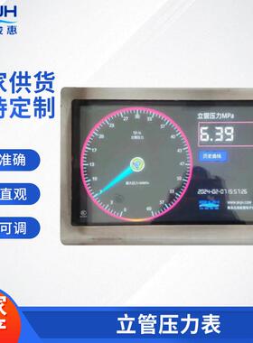青岛厂家供应TJF-SL立管压力表量程可调节可存储历史记录数据