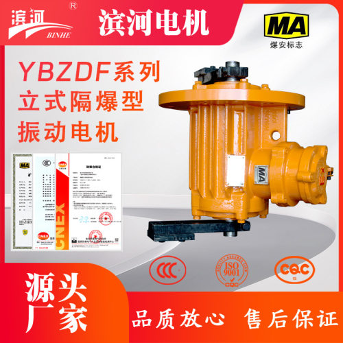 滨河供应隔爆型0.75kW法兰式YBZDF-10-6振动电机IP65防护