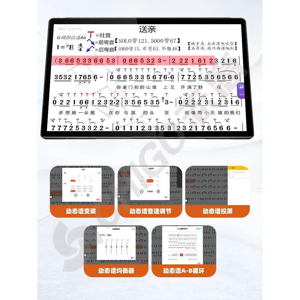 读谱机新款志高20寸智能动态读谱机电吹管电萨克斯吉他户外点歌机