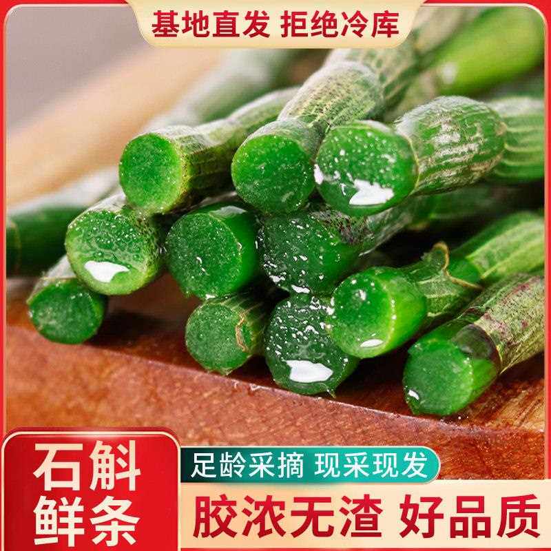 现发新鲜铁皮石斛鲜条现剪铁皮石斛枫斗鲜石斛蜂蜜水煲汤榨汁