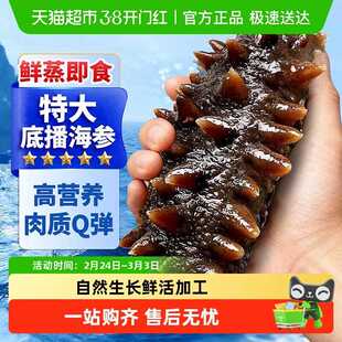 海参即食大连海参辽参礼盒刺参鲜活海渗独立包装袋开袋即食