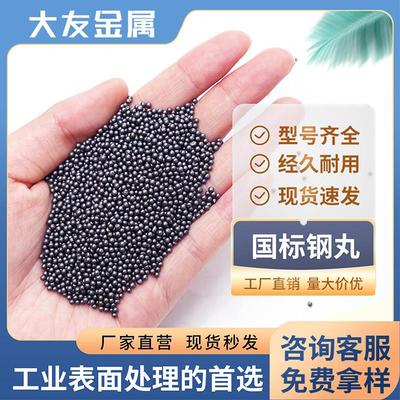 钢丸钢砂不锈钢丸钢丝切丸抛丸机钢丸合金钢丸抛丸子304不锈钢丸