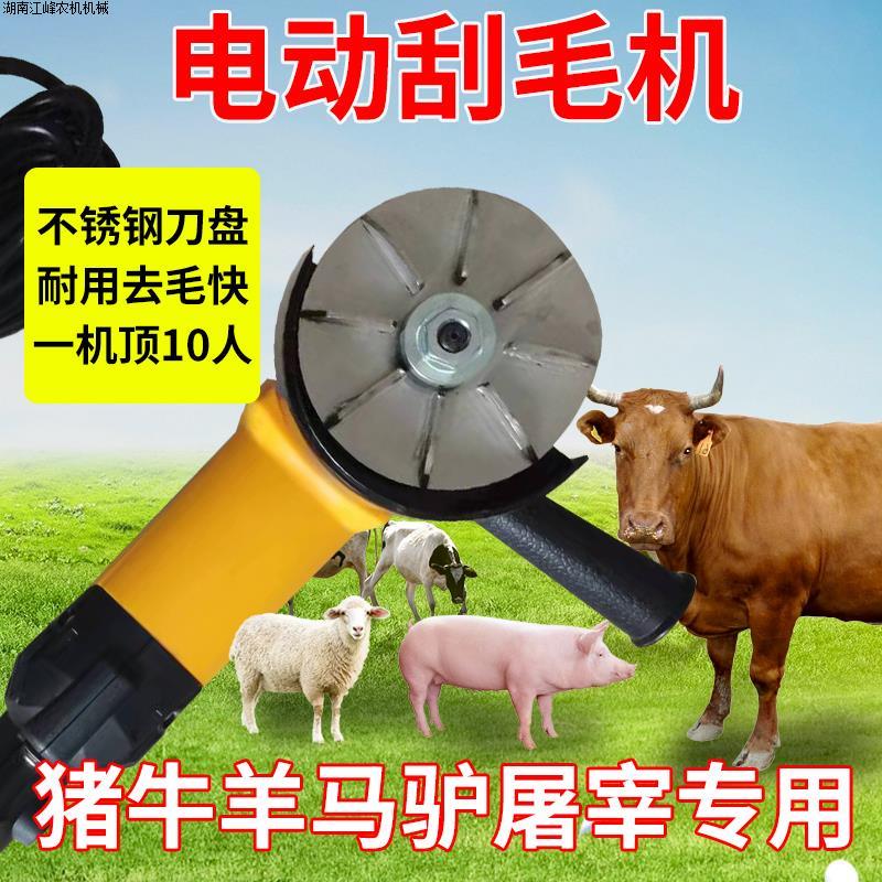 猪牛毛去刮屠宰刮手持电动毛磨机刀专用刮角驴牛羊毛器电动抛片