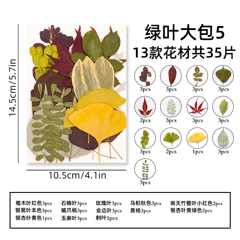thumbnail for Real leaves, plant specimens, kindergarten handmade stickers, embossed dried flowers, DIY materials, photo stickers, face decorations, dried flowers