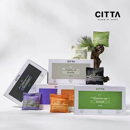 CITT∧ 自然之旅车载香氛多功能除味散香薰汽车摆件